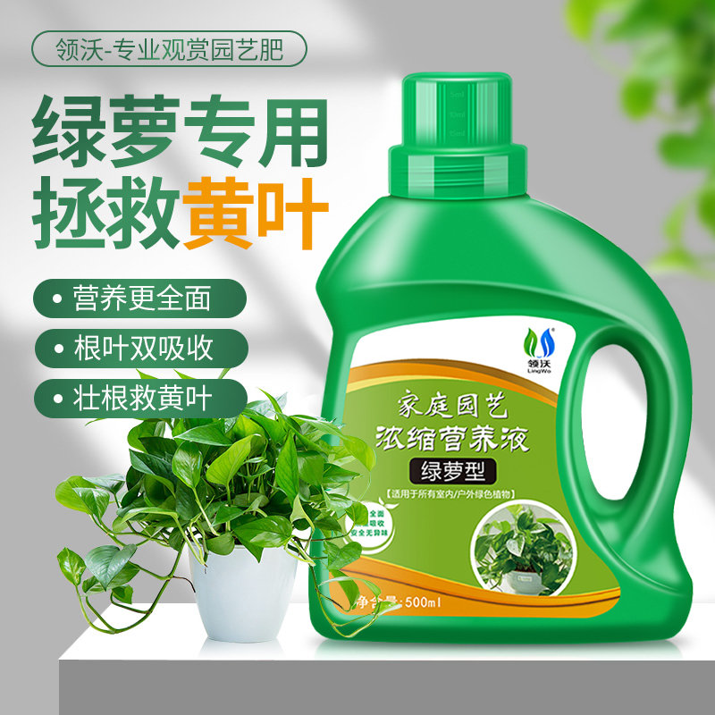 绿萝肥料营养液专用液体肥防黄叶防烂根室内绿箩盆栽绿植花卉