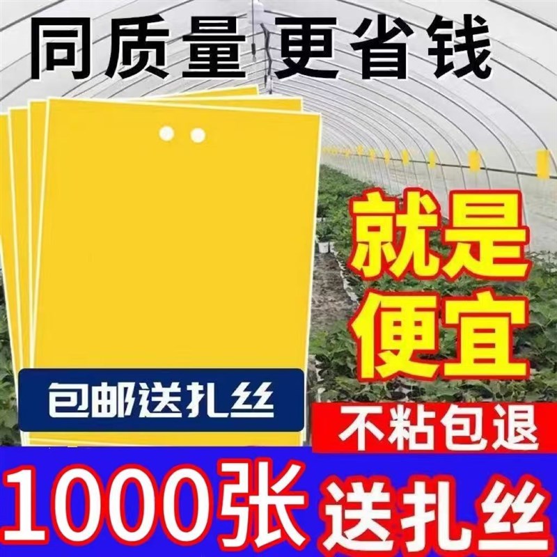 双面粘虫板大棚果树瓜菜园黄板沾小黑飞防虫贴纸蓟马蓝板诱虫板