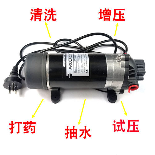 高压隔膜泵dp-170地暖清洗测压增压可乐机水泵160M220伏12V24喷雾