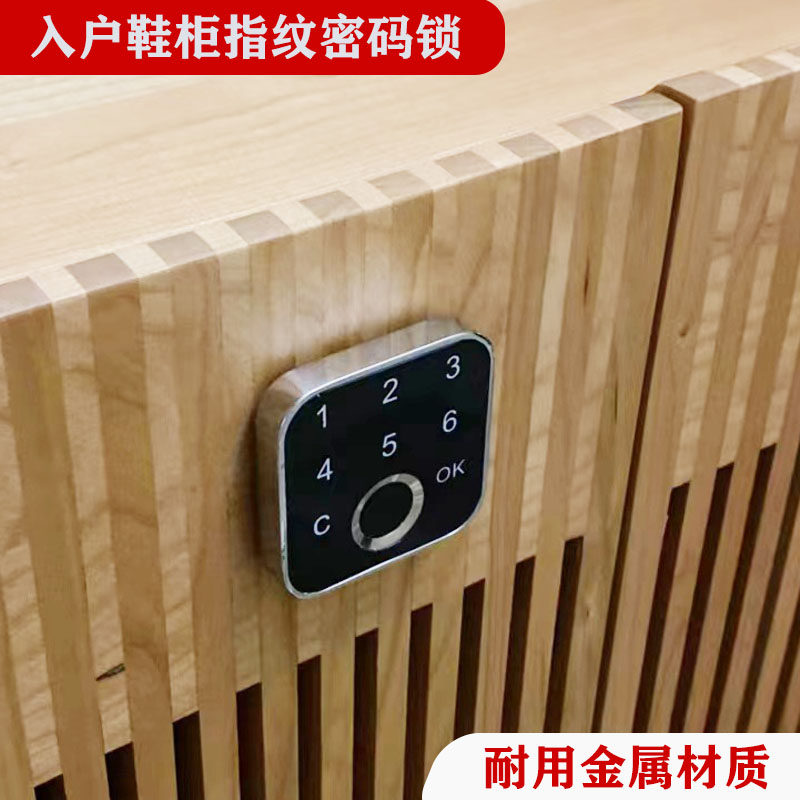 鞋柜指纹锁抽屉密码锁家用小双开门对开门指纹密码锁具抽屉指纹锁