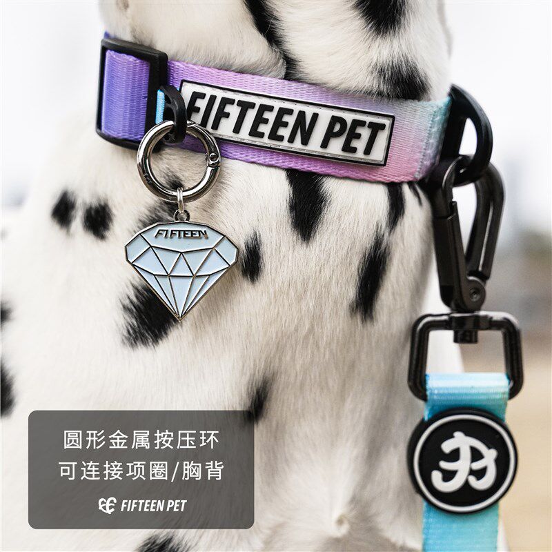 FIFTEENPET全犬种狗牌定制刻字防丢宠物铭牌身份牌柯基柴犬泰迪