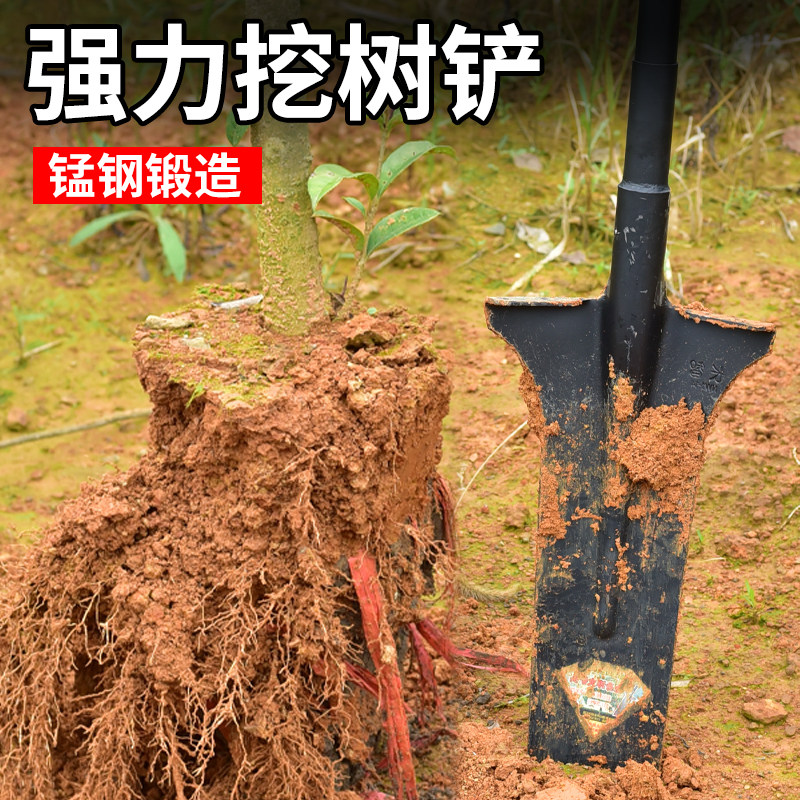 挖树铲锰钢加厚全钢钢锹挖树专用锹农用开沟挖土挖坑铁锹铁铲大号