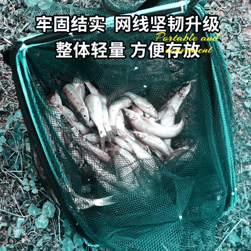 可折叠虾笼捕鱼笼黄鳝泥鳅渔网笼捕虾网鱼螃蟹鱼笼捉鱼工具河虾笼