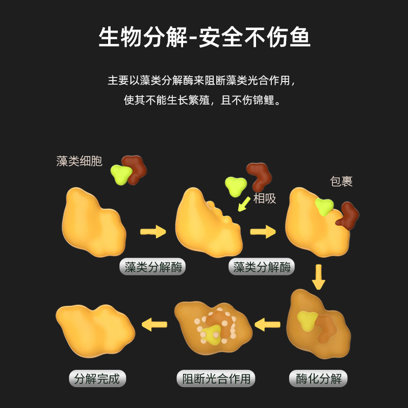 百因美鱼池除藻剂不伤鱼鱼缸锦鲤除藻去苔剂除绿藻除青苔褐藻剂