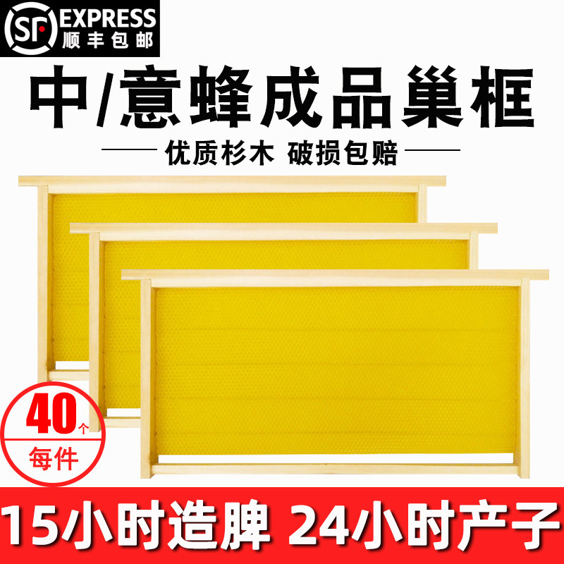 成品巢框中意蜂带巢础框巢基巢脾框蜜蜂巢杉木蜂箱养蜂专用40个装
