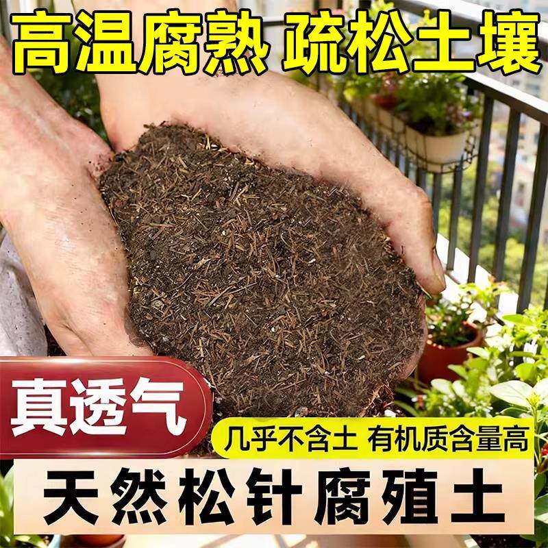 松针腐殖土天然腐叶腐熟纯君子兰花多肉泥炭营养土养花通用专用土