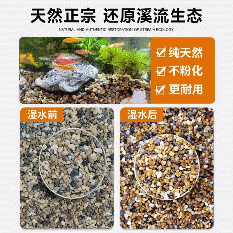 鱼缸造景天然溪流石河沙鹅卵石原生水族水草缸小石子过滤石盆栽石