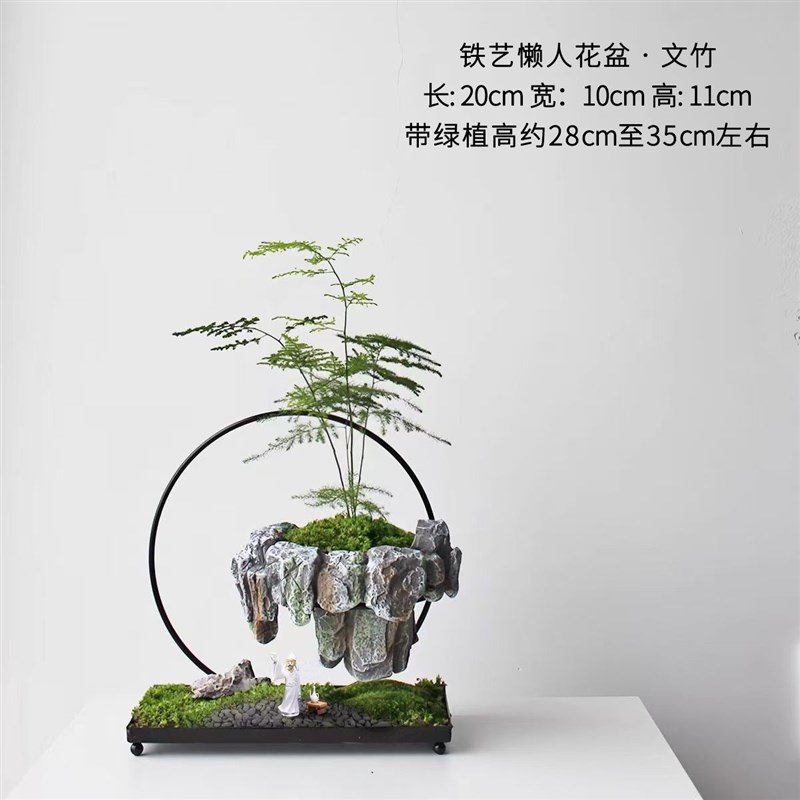 文竹盆栽悬浮绿植发财树室内玄关艺术摆件办公室桌面微景观盆景