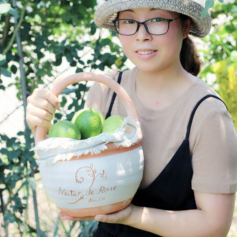 欧式粗陶红陶花篮花盆多肉拼盘绿植草花庭院阳台装饰创意透气陶盆