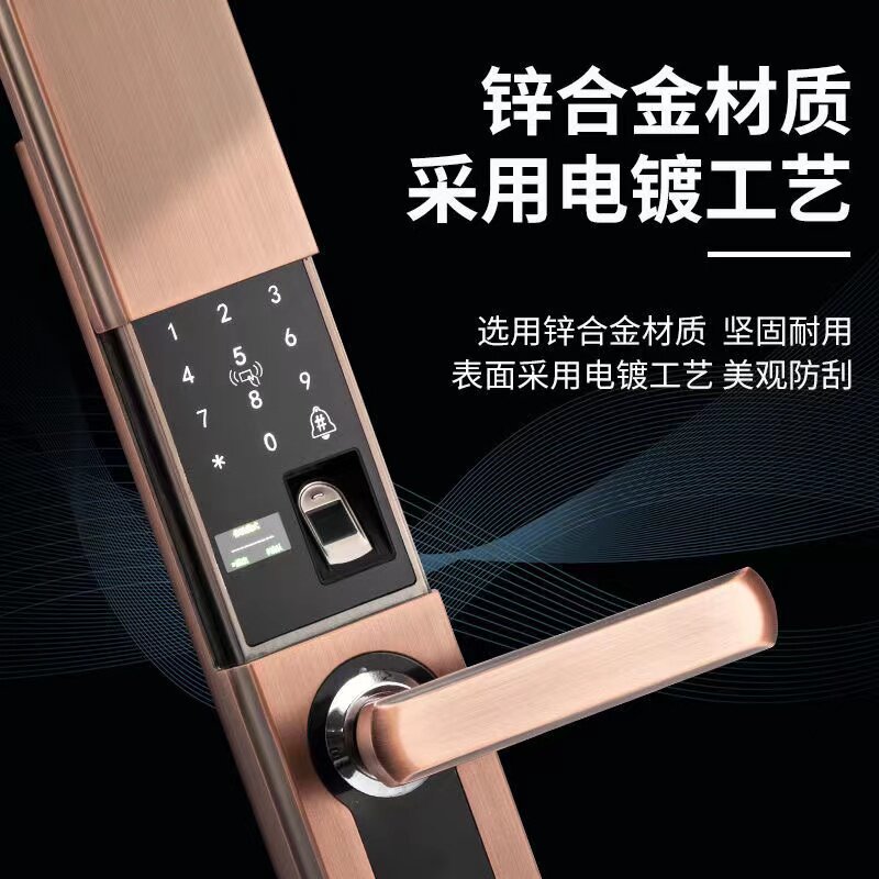 德施曼智能锁家用防盗门指纹锁入户门电子锁大门双开门木门密码锁