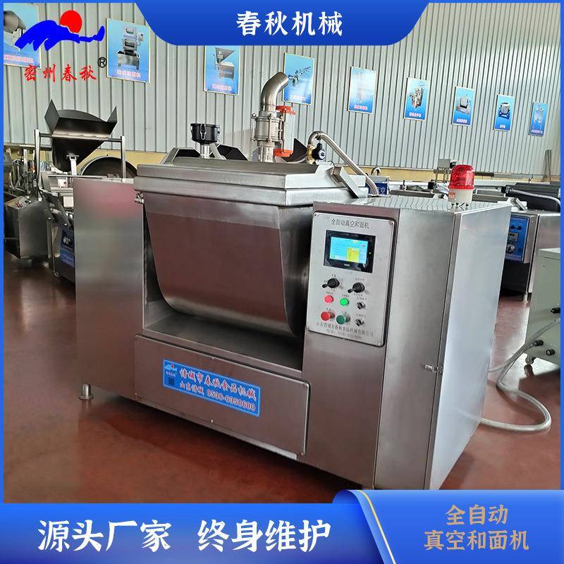 速冻水饺真空和面机汤圆真空和面机厂家真空和面机价格
