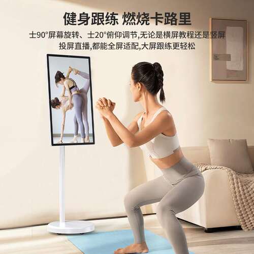 高清23.8寸可移动随心屏智慧屏可移动电视健身网课投屏显示器