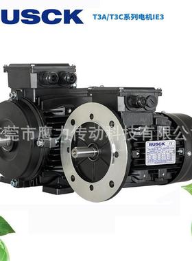 瑞典电机motors布斯克三相异步电机T4A/T4C/T3A/3C