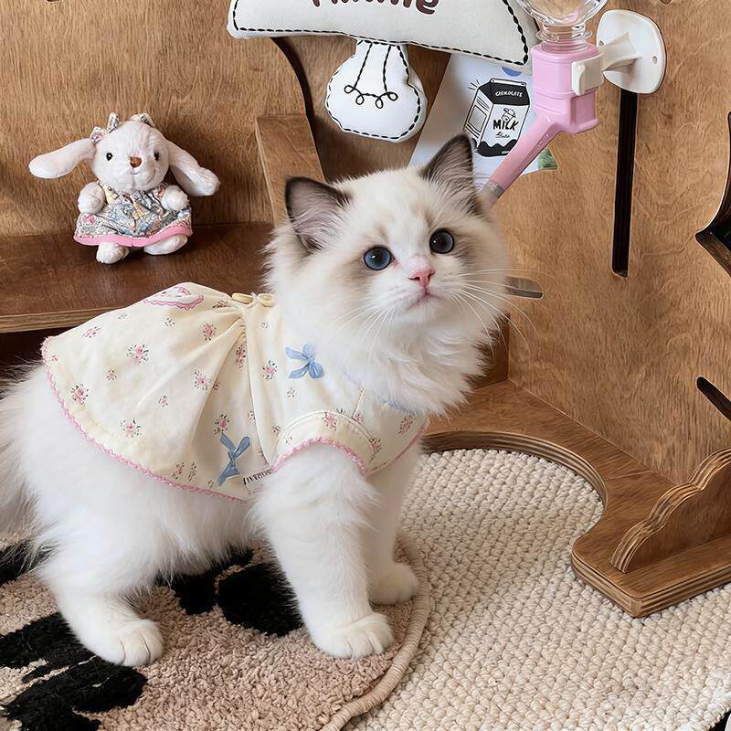 猫咪衣服夏季新款小型幼犬布偶猫金渐层幼猫可爱碎花背心连衣裙子