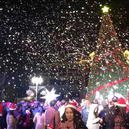 遥控150W雪花机造雪机下GZSM2019雪 舞台婚舞台0 仿真喷机下雪圣