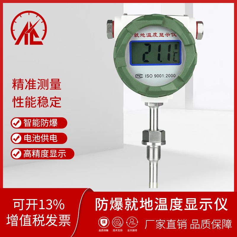 AABSD-12BS地D2-1温WD-EX防爆就度显示仪
