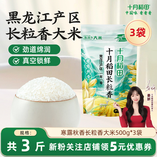 2025新米十月稻田寒露秋香长粒香大米500g 东北大米香粳米 3小袋装