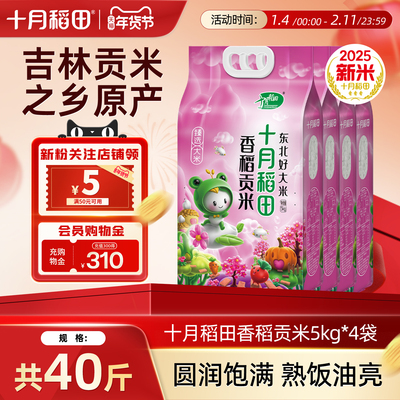十月稻田香稻贡米5kg*4袋