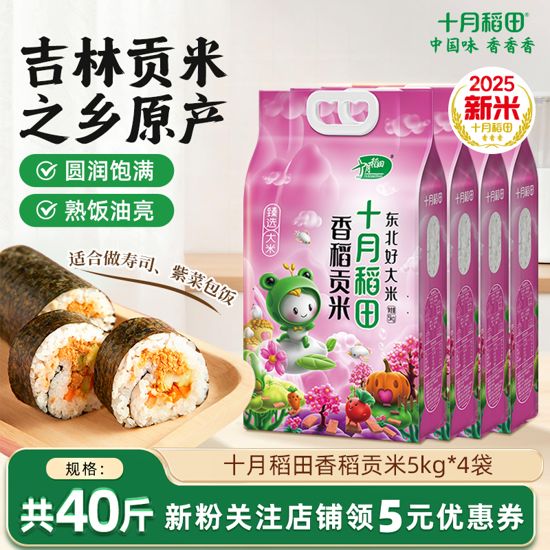 十月稻田香稻贡米5kg*4袋