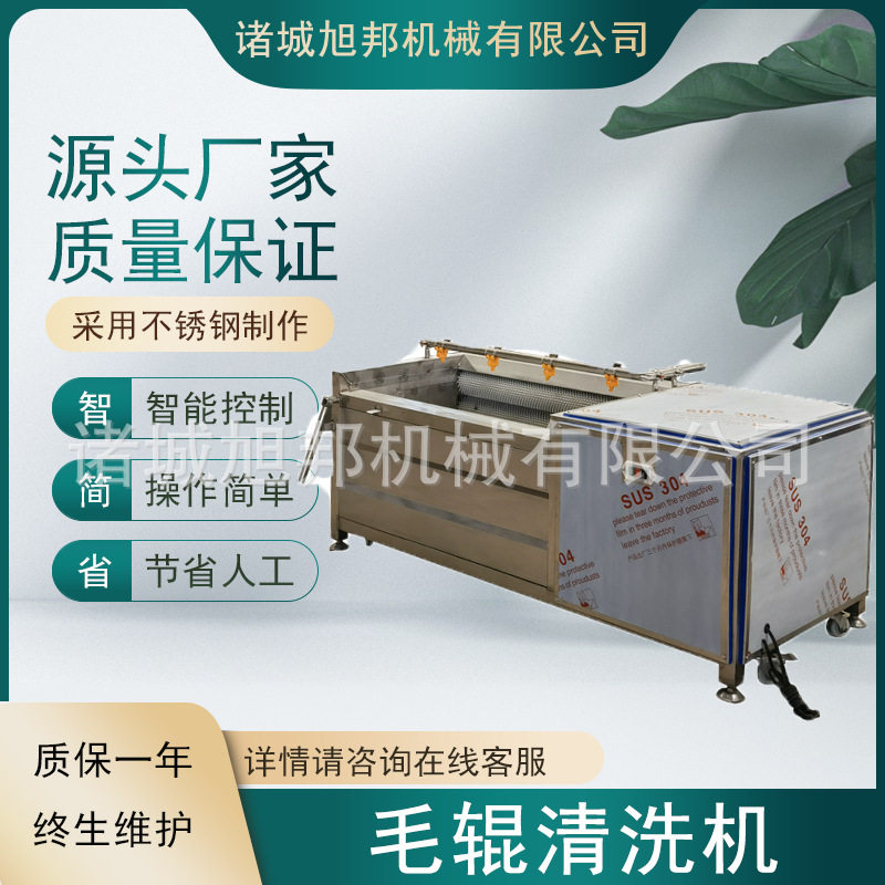 莲藕萝卜毛辊清洗机 土豆毛刷磨皮清洗设备 多功能芥菜毛辊去皮机