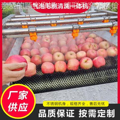 商桃子毛刷清洗洗机青梅毛辊清洗全自动LEY洗果机果蔬清用风机干