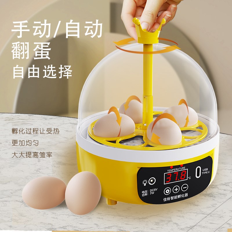 迷你小型孵蛋器全自动儿童孵化器智能孵化机4枚科教实验孵蛋机