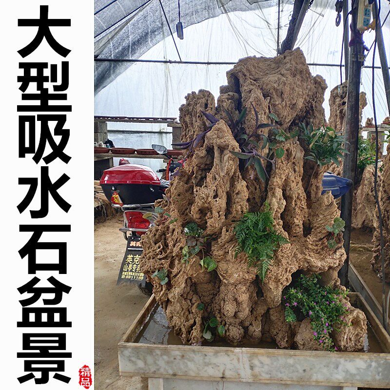 中大型吸水石上水石奇石天然假山盆景观赏石微景观鱼缸造景镇宅