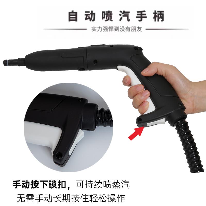路贝斯高温熏蒸机高压蒸汽清洁清洗机汽车美容家政清洁改色膜车罩