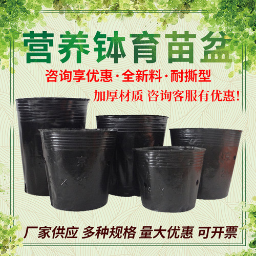 营养钵黑色营养杯塑料育苗杯一次性黑碗多肉花盆加厚育苗袋育苗盆