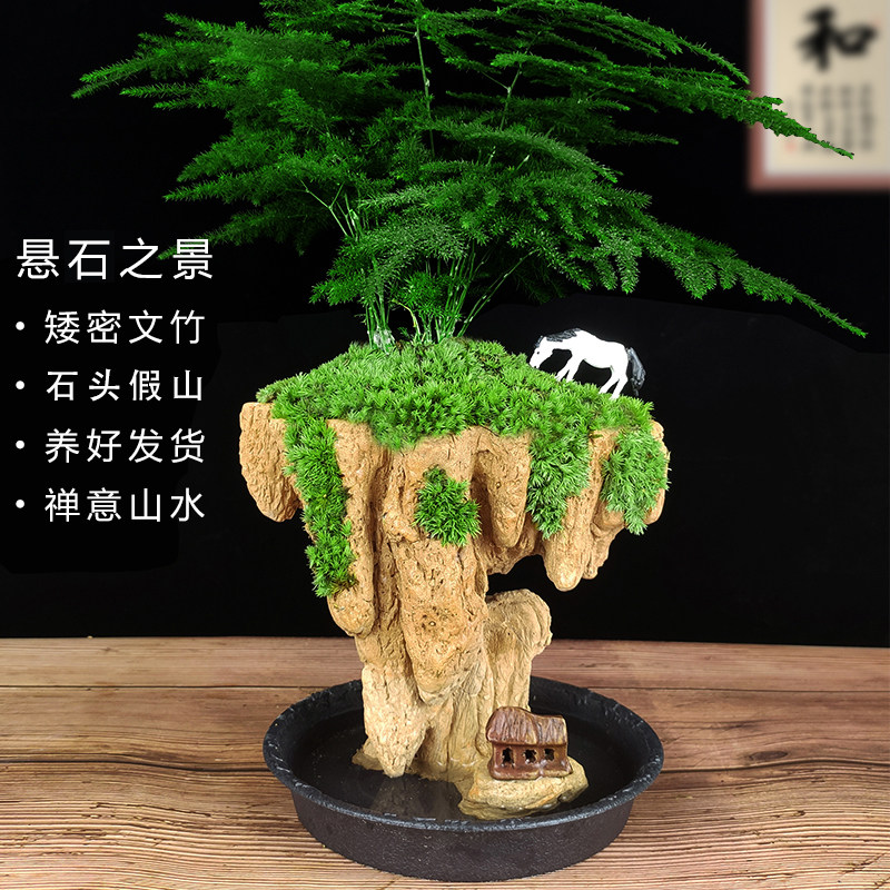 悬空假山盆景吸水奇石上水造景石办公室绿植客厅室内桌面文竹摆件