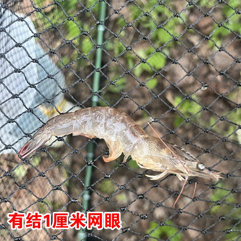 有结网眼大马力线粗网路线甲鱼螃蟹养鱼存鱼护钓场回鱼养殖隔离网