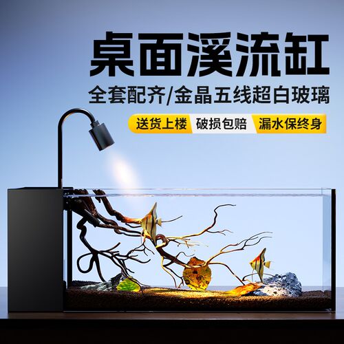 小鱼缸玻璃缸生态溪流新款超白斗鱼观赏家用桌面迷你侧滤小型客厅