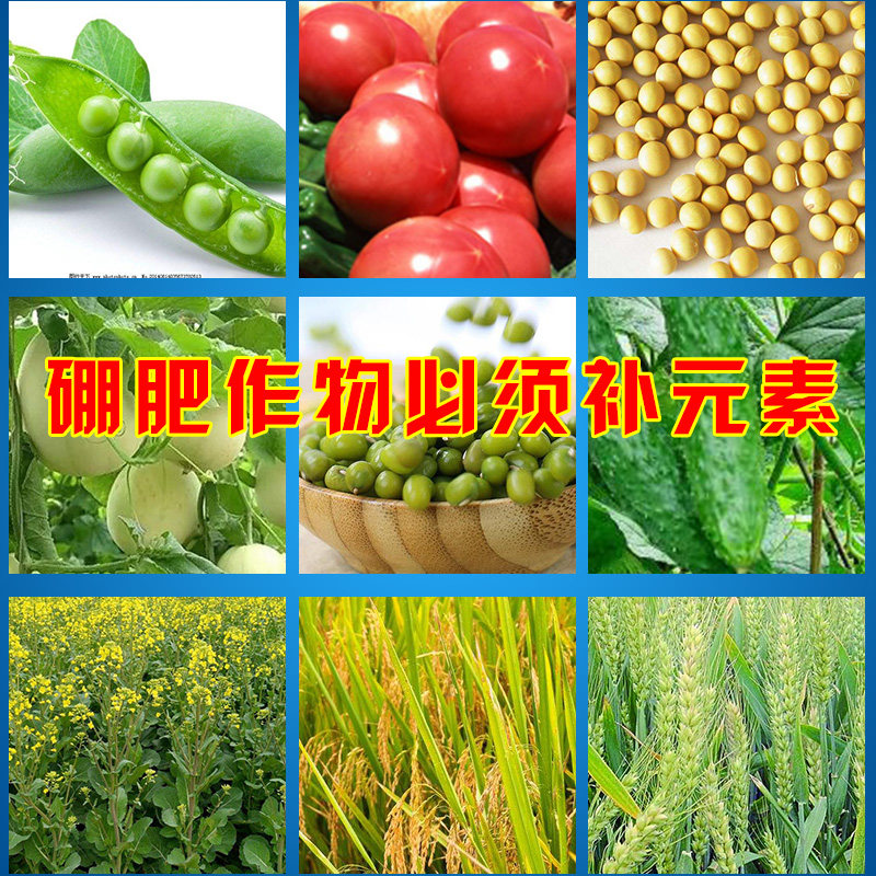 美国硼砂集团速乐硼车马牌硼肥硼酸水溶叶面肥保花保果 1公斤包邮