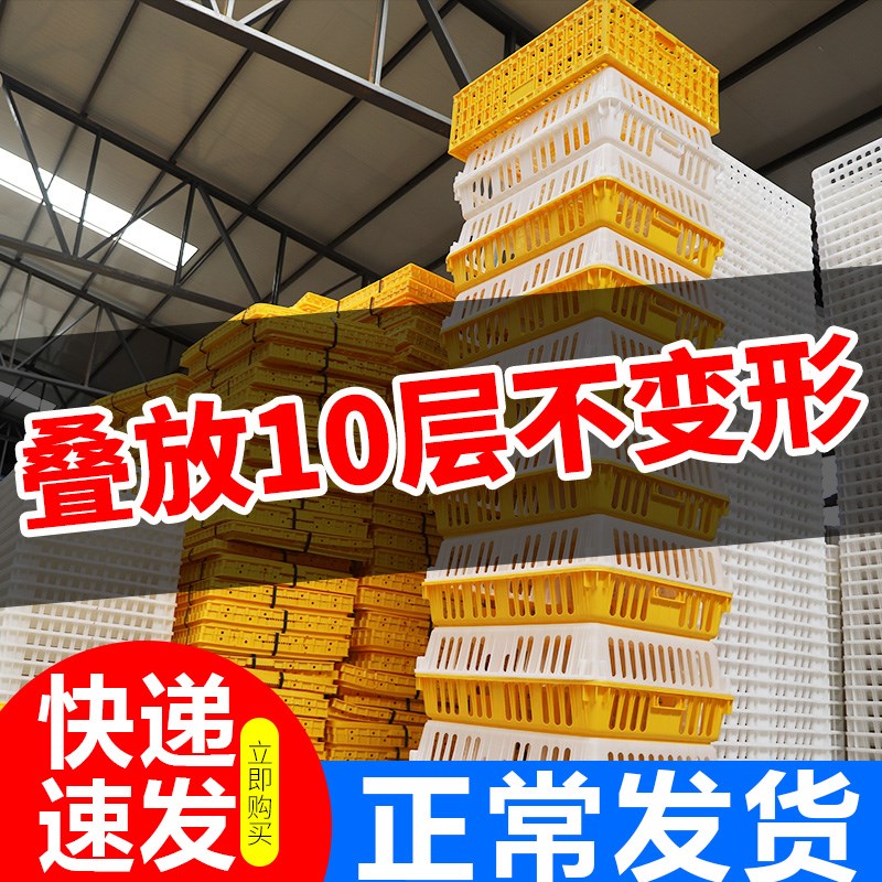 鸡笼运输笼塑料家禽周转箱筐成鸡鸭鹅鸽子笼子家用大号兔笼养殖l