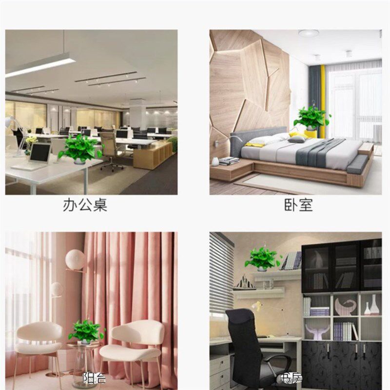 新房绿萝盆栽室内植物净化空气绿植客厅大叶长藤绿箩好养花卉吊兰