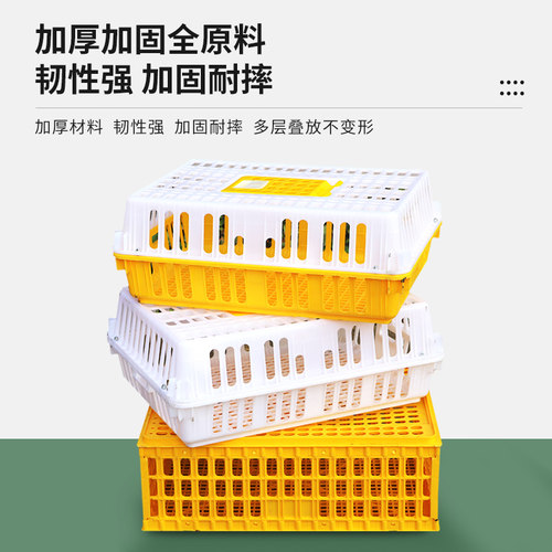 鸡笼运输笼塑料家禽周转箱筐成鸡鸭鹅鸽子笼子家用大号兔笼养殖笼