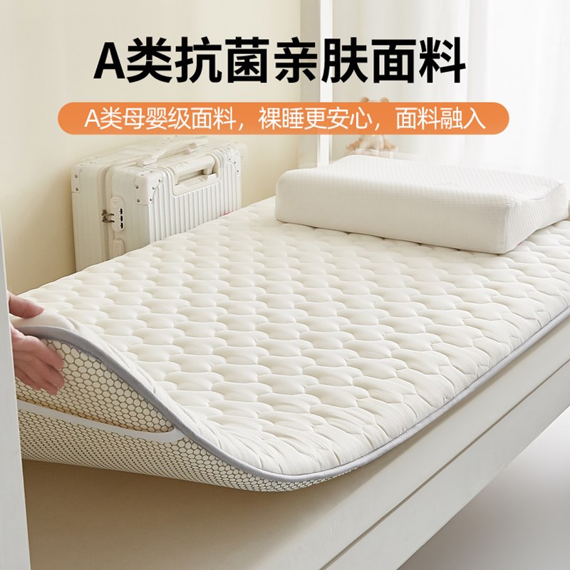 海绵床垫子软垫家用卧室90x190大学高中生住校床褥垫被褥租房专用