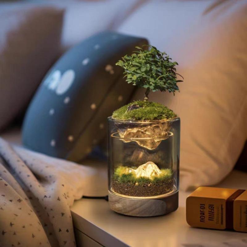 丘辰苔藓微景观生态瓶办公室桌面创意绿植室内种植小盆栽摆件礼物
