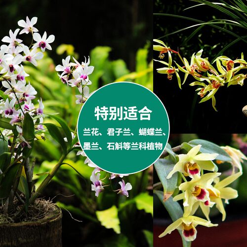 兰花专用土100升包邮君子兰蝴蝶兰铁皮石斛植料腐熟松树皮营养土