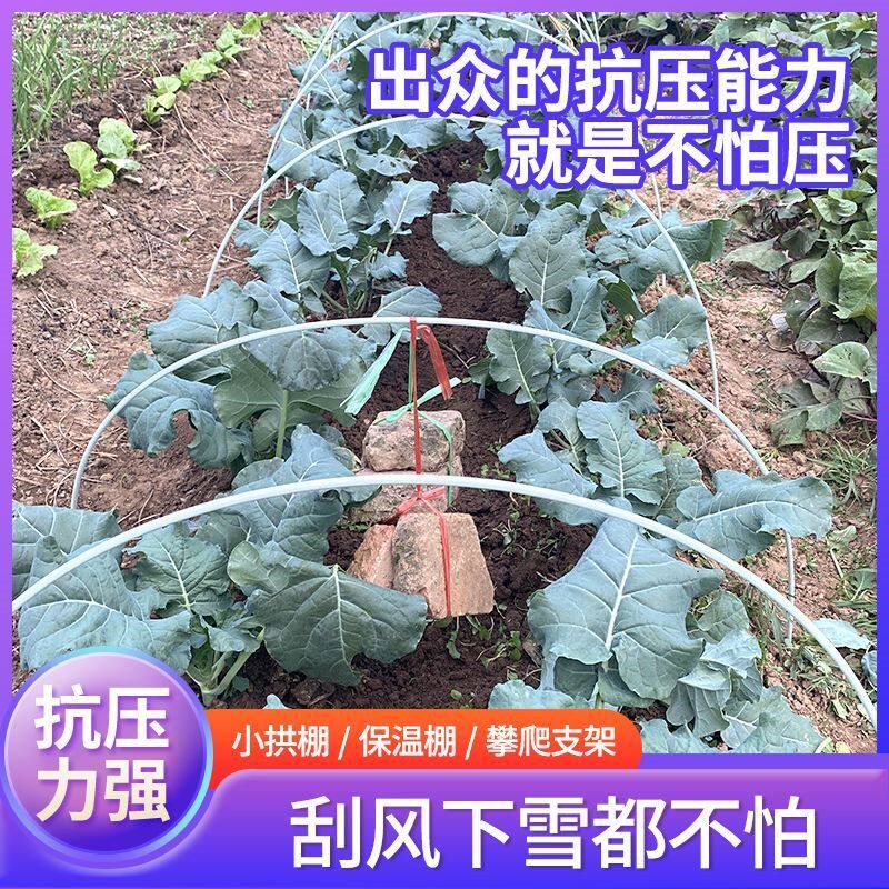 菜棚拱杆农业种菜玻璃钢纤维杆小棚防虫育苗保温骨架拱竿大棚支架