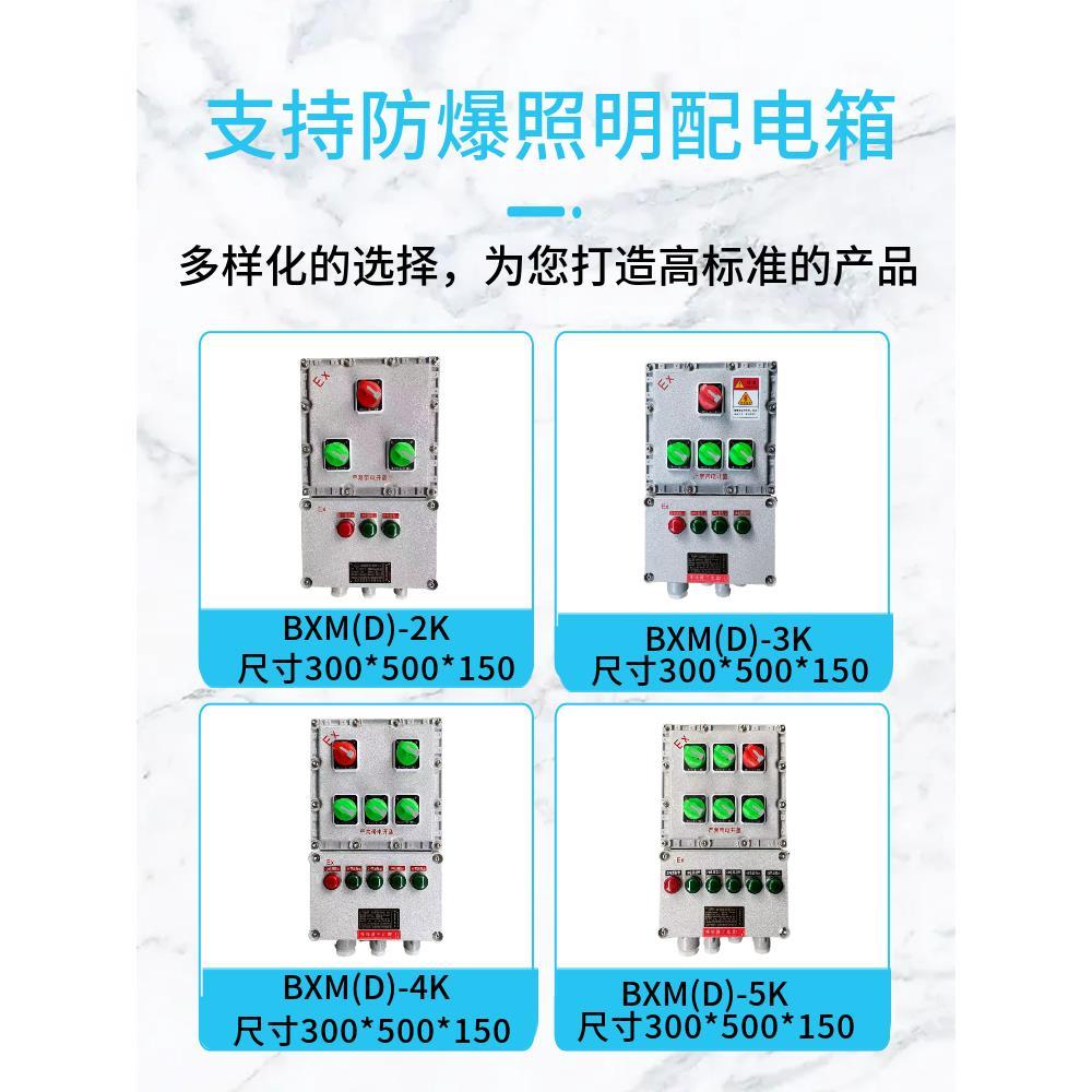 防爆配电箱防爆照明动力检修插座箱定制仪表控制柜不锈钢开关箱
