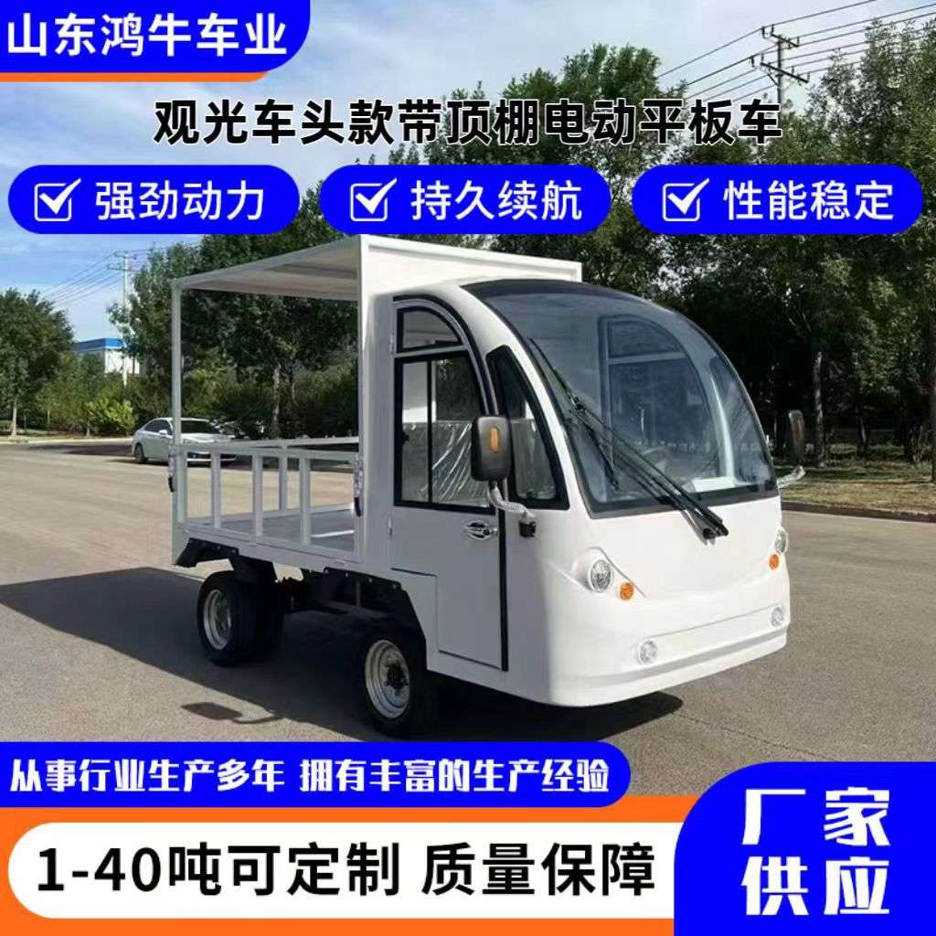 厂区专用载重王工地运输车园区周转仓储物流搬运车电动四轮平板车