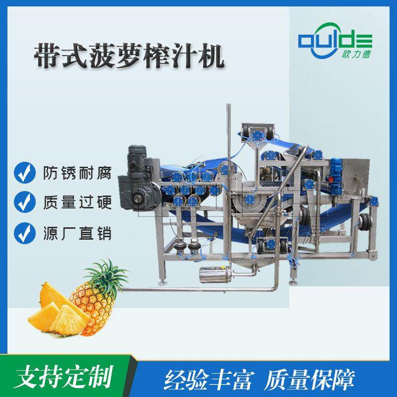 批量供应DYJ系列商用工业带式榨汁机菠萝蔬菜水果全自动脱水压榨,清洗/食品/商业设备,其他食品加工设备,淘宝优惠券,粉丝福利购,淘宝优惠卷