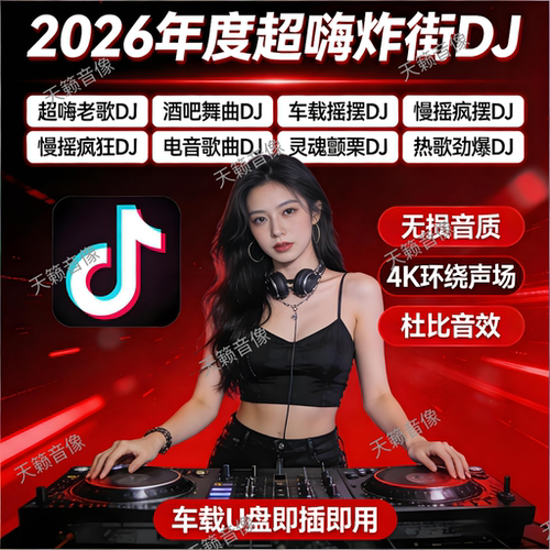 抖音DJ嗨曲劲爆重低音车载U盘
