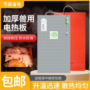 仔猪不锈钢电热板小猪保温箱兽用加热母猪产床保温板养殖取暖设备