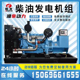 潍柴300kw柴油机养殖场工地备急用商业楼写字楼全铜自励磁发动机