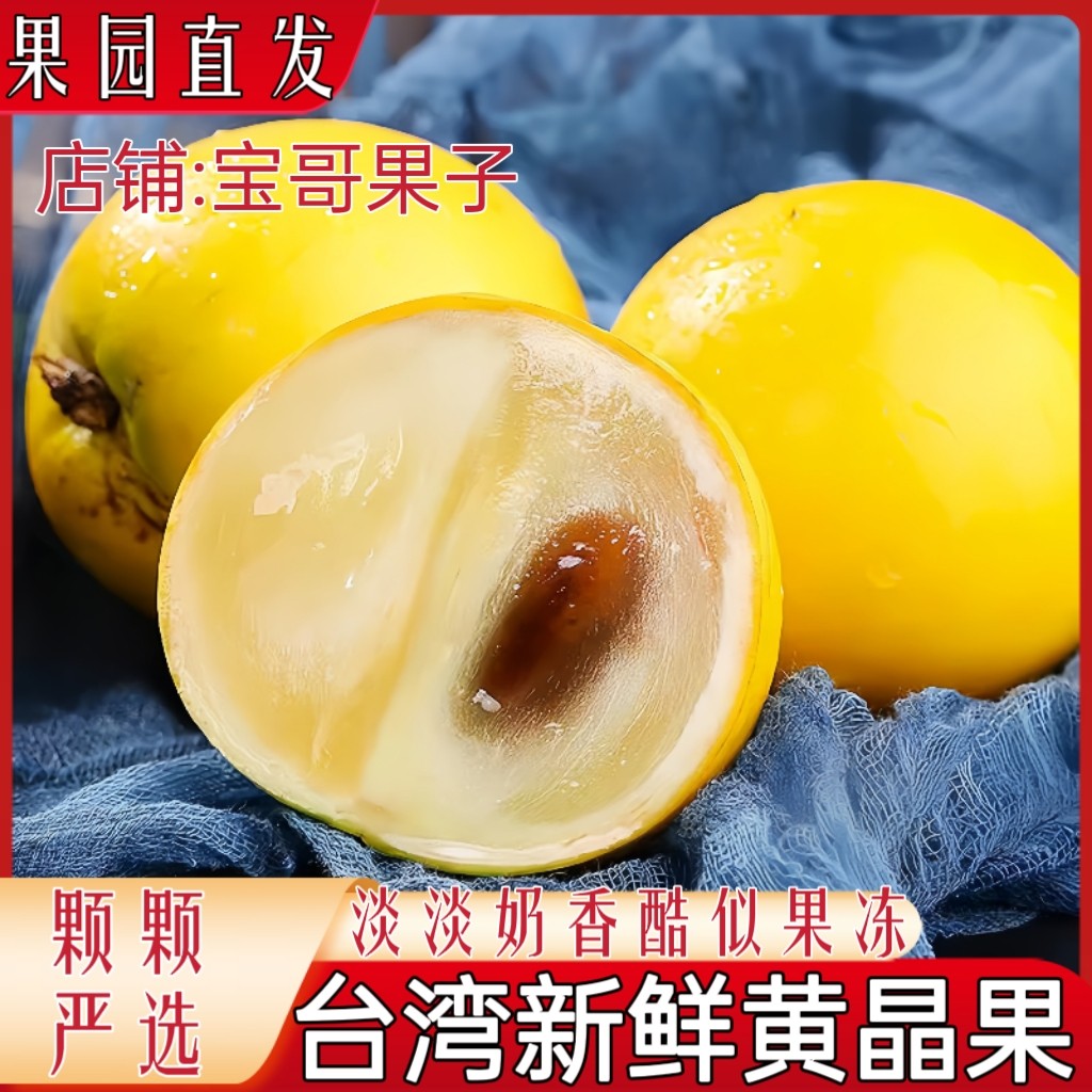 现货台湾黄晶果新鲜水果当季现摘现发黄金牛奶果稀有冬蜜黄晶