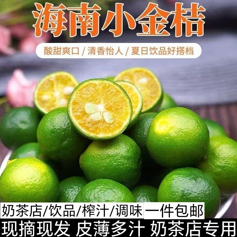 新鲜海南青金桔新鲜青桔子小青柠奶茶店酸爽新鲜水果小青桔橘子