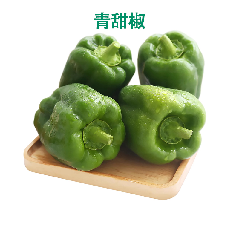 青甜椒青椒菜椒绿色圆椒新鲜蔬菜灯笼椒青圆椒甜椒彩色现摘太空椒
