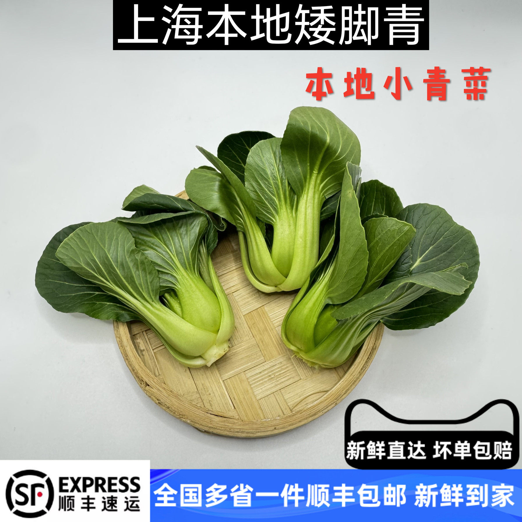 新鲜小青菜上海青跟矮脚菜  新鲜本地青菜蔬菜500g